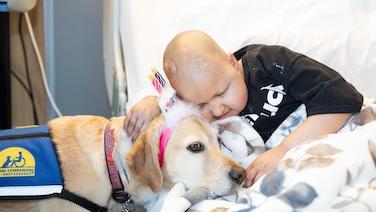 Children's Hospital Canine Crew